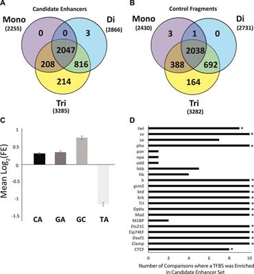 Comprehensive Genomic Discovery of Non-Coding Transcriptional Enhancers in the African Malaria Vector Anopheles coluzzii